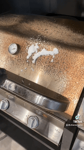 detergente hornos y grill